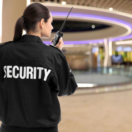 almaz_security_02